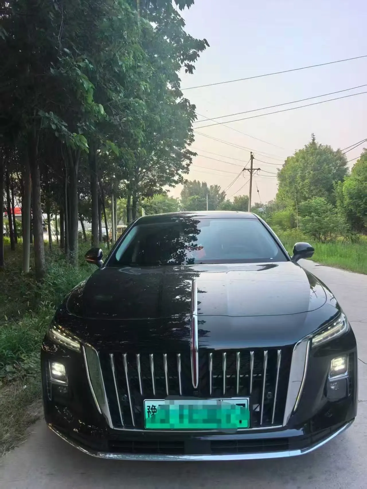 HongQi 2025 H5 PHEV 1.5T 170 Super Hybrid Automatic Gear 2