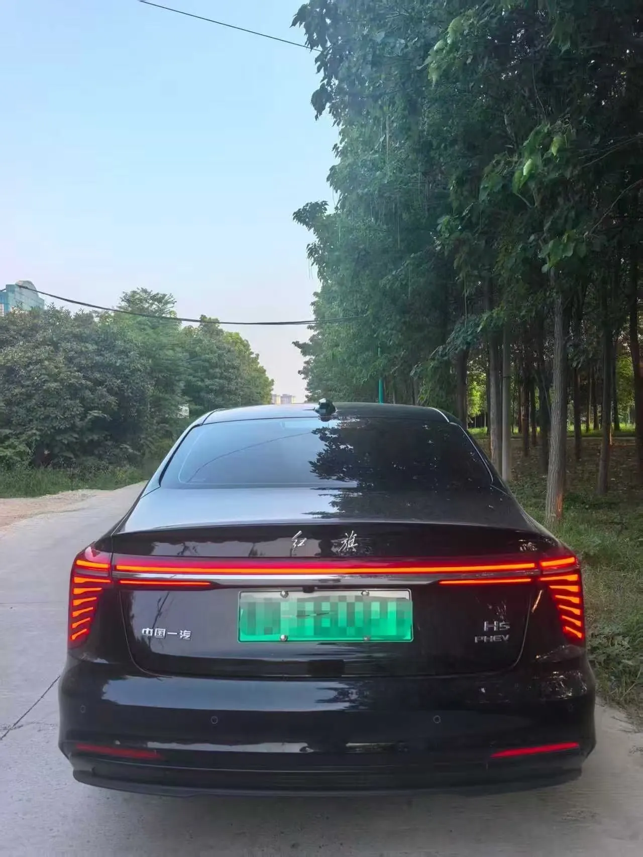 HongQi 2025 H5 PHEV 1.5T 170 Super Hybrid Automatic Gear 4