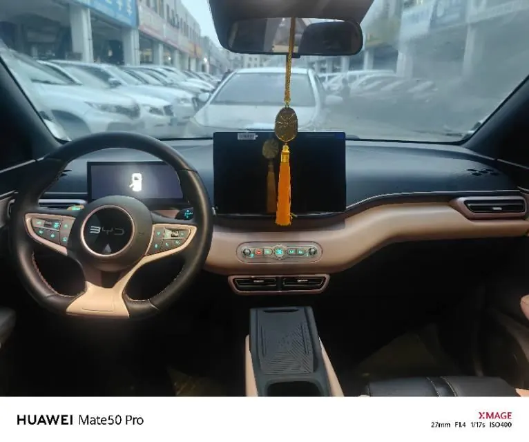 BYD 2025 Seagull Smart Driving Edition 305km Free Edition Automatic Gear 4
