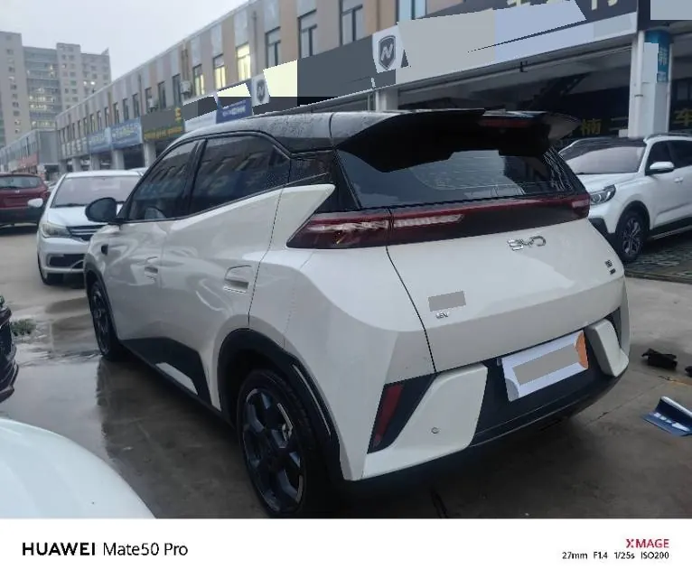 BYD 2025 Seagull Smart Driving Edition 305km Free Edition Automatic Gear 5