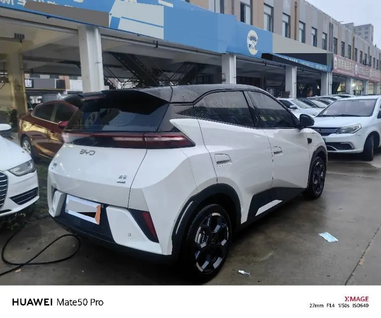 BYD 2025 Seagull Smart Driving Edition 305km Free Edition Automatic Gear 7