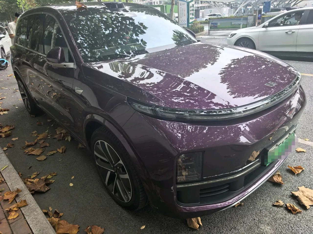 Li 2022 L9 1.5T Max Edition Automatic Gear 5