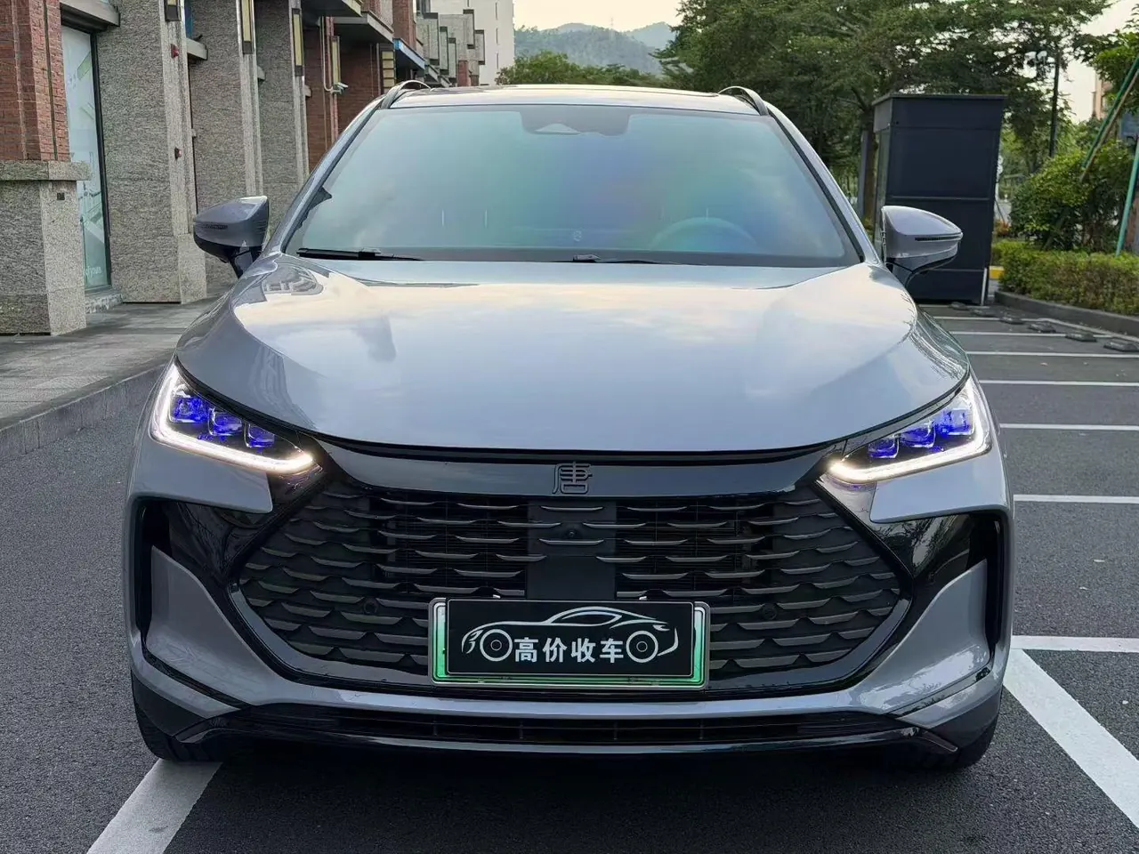 BYD Tang New Energy 2025 Tang DM-i 1.5T Stepless 115KM Honorable Automatic Gear 2