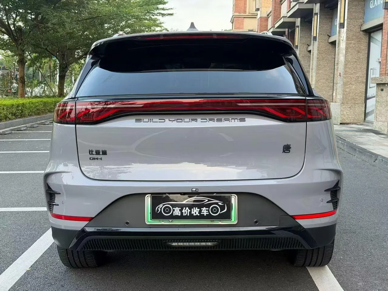 BYD Tang New Energy 2025 Tang DM-i 1.5T Stepless 115KM Honorable Automatic Gear 5