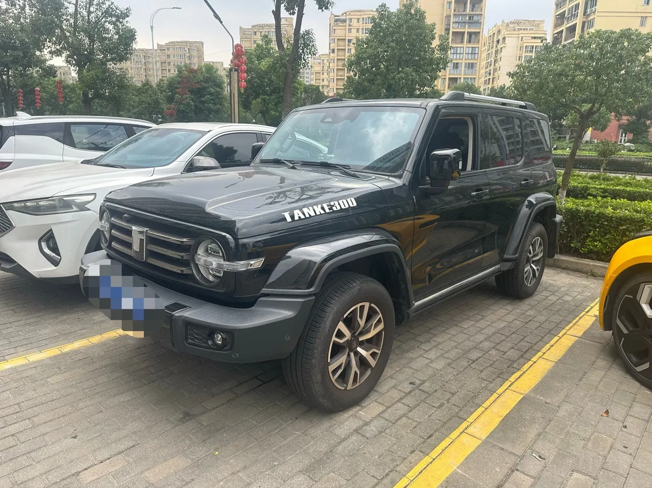 Открыть галерею: Tank 2024 Tank 300 48V 2.0T Crossing Automatic