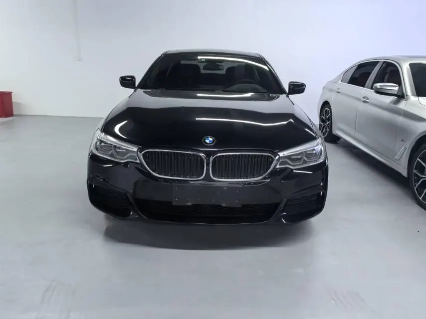 BMW 5 Series 2020 530Li 2.0T Exclusive M Sports Suit Automatic Gear 2