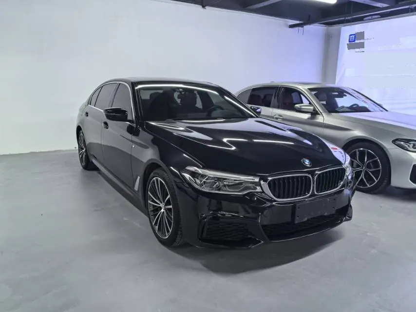 BMW 5 Series 2020 530Li 2.0T Exclusive M Sports Suit Automatic Gear 3
