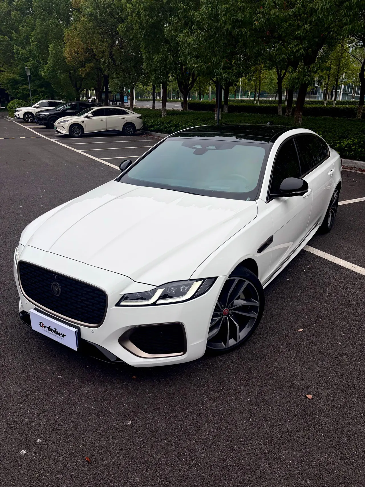 Jaguar 2024 XFL 2.0T P300 Four-wheel Drive Flagship Sports Gold Edition Automatic Gear 2