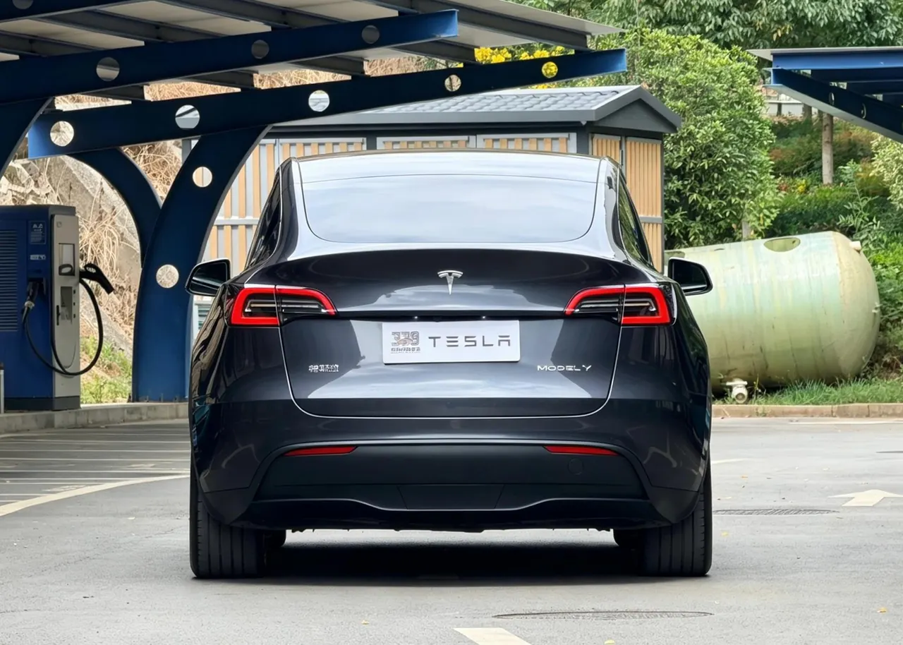 Tesla 2024 Model Y rear-wheel drive version automatic transmission 8
