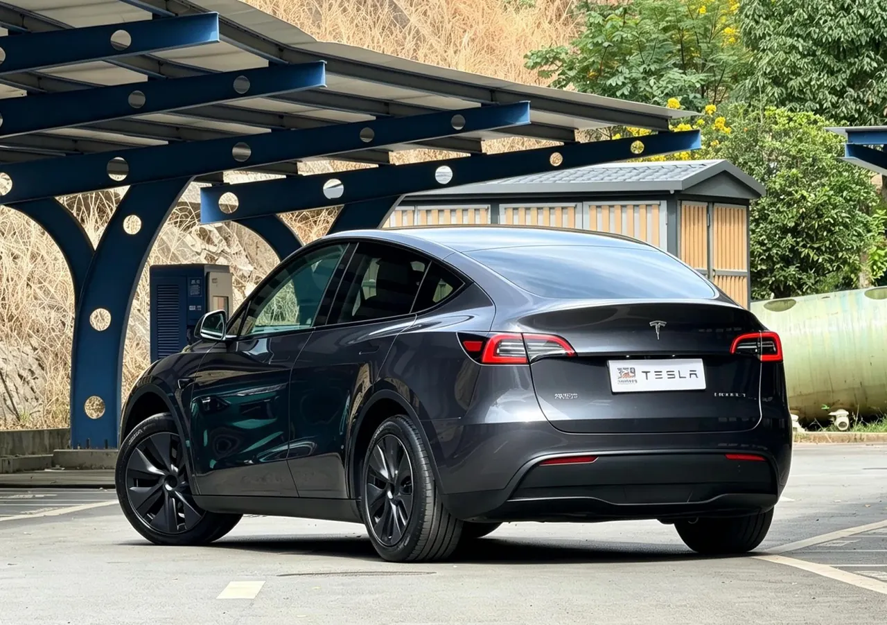 Tesla 2024 Model Y rear-wheel drive version automatic transmission 9