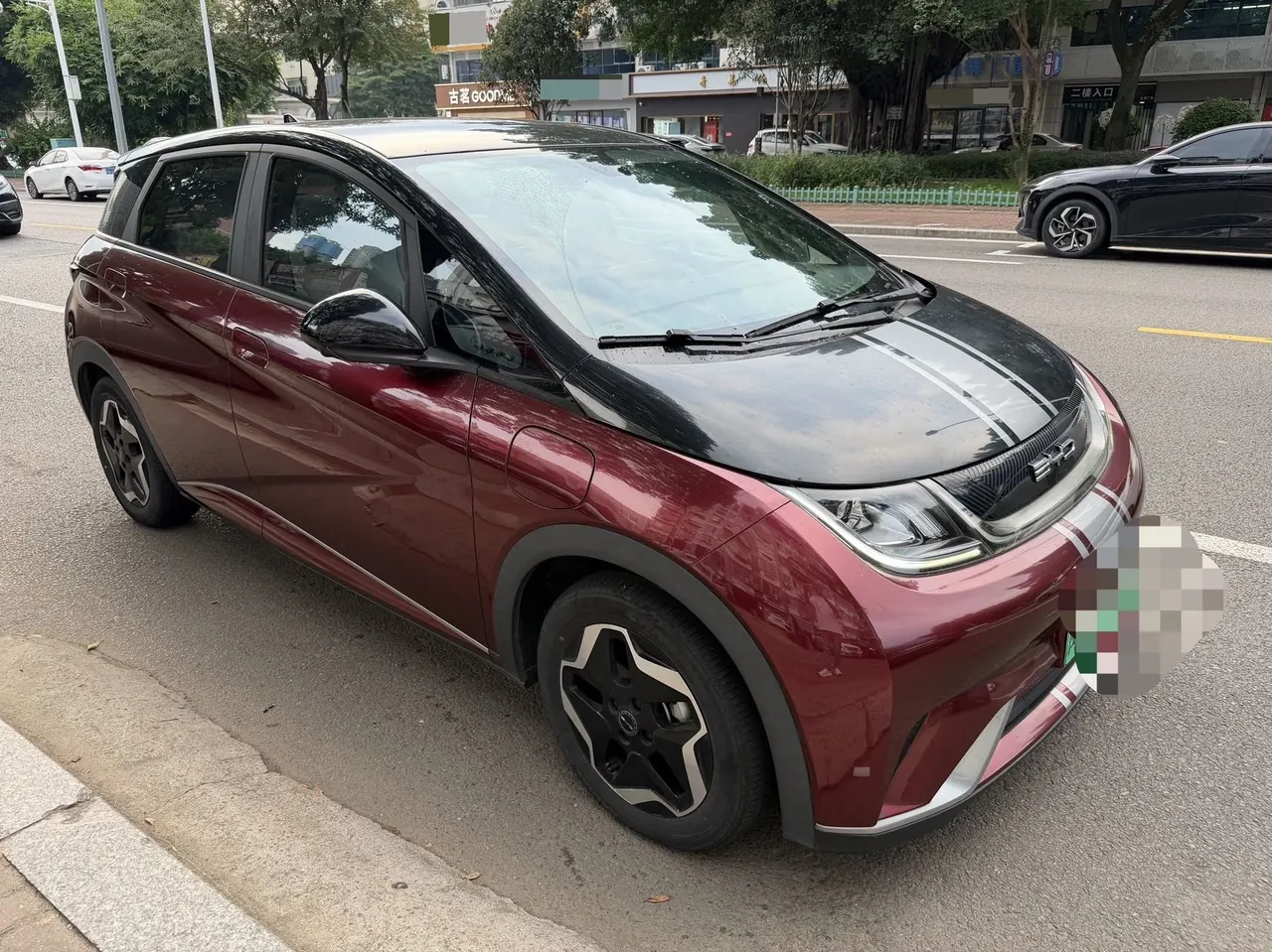 BYD 2021 Dolphin 405km Fashion Edition Automatic 2