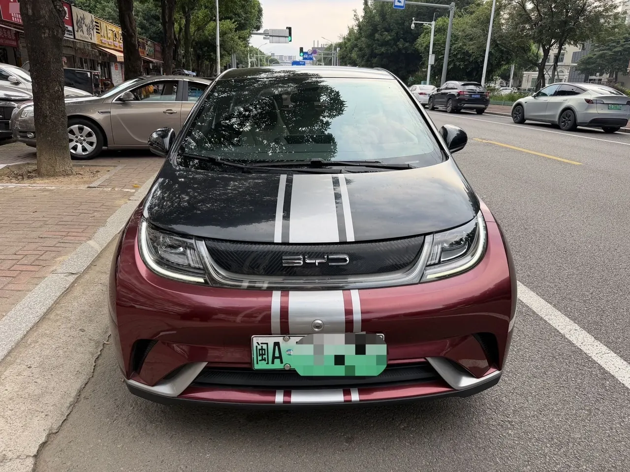 BYD 2021 Dolphin 405km Fashion Edition Automatic 3