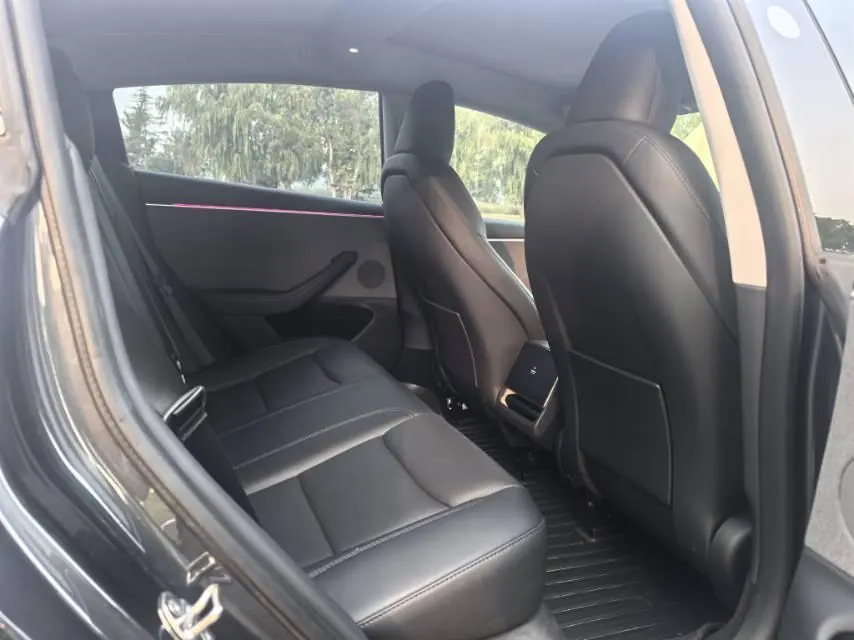 Tesla 2023 Model 3 Rejuvenation Edition Rear Wheel Drive Automatic Transmission 6