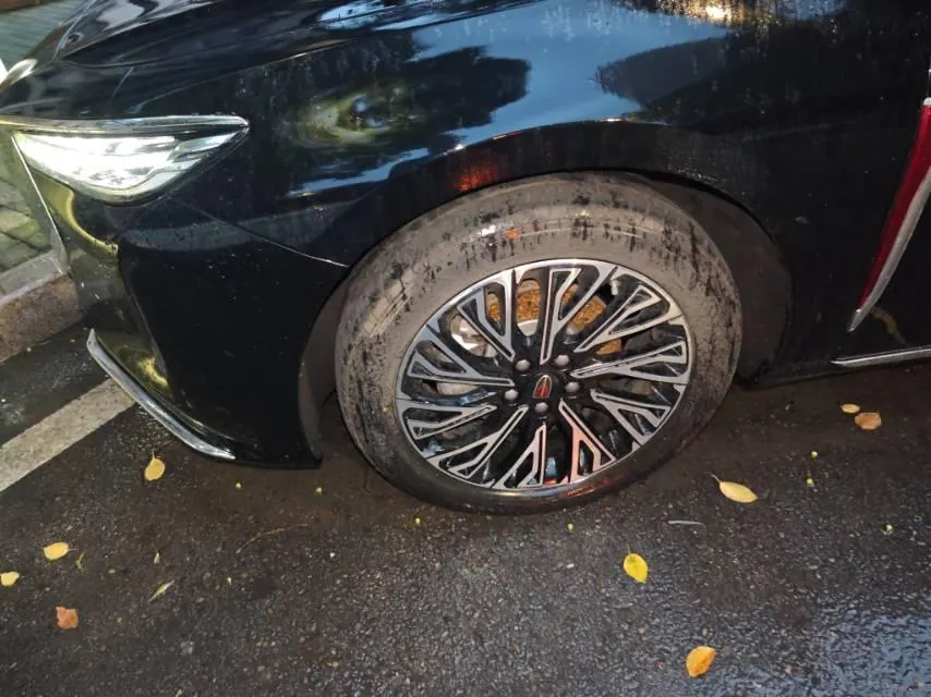 HongQi 2024 H5 2.0T Zhilian Qi Chang Edition Automatic Gear 5