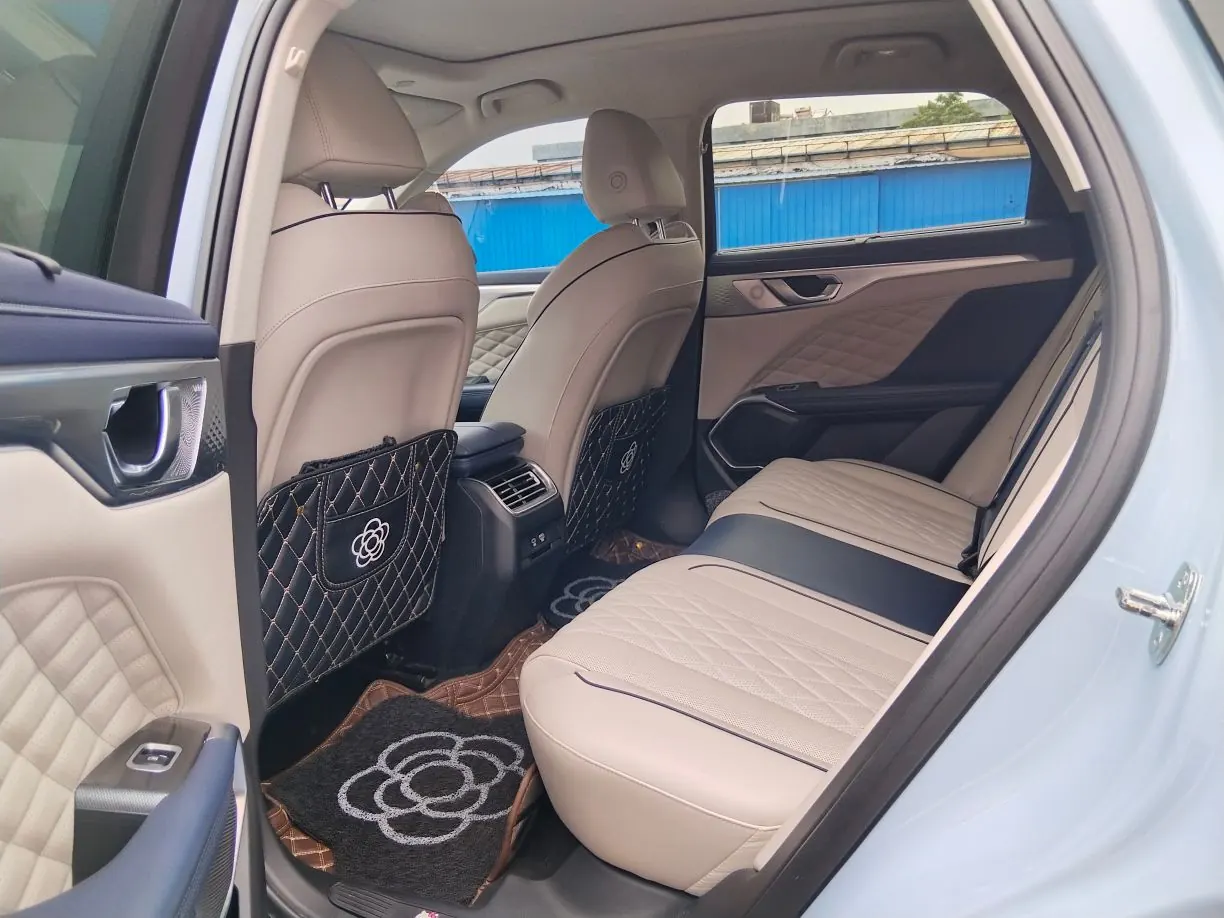 WEY 2021 mocha 48V 2.0T two-wheel drive NOH smart pilot version automatic gear 8