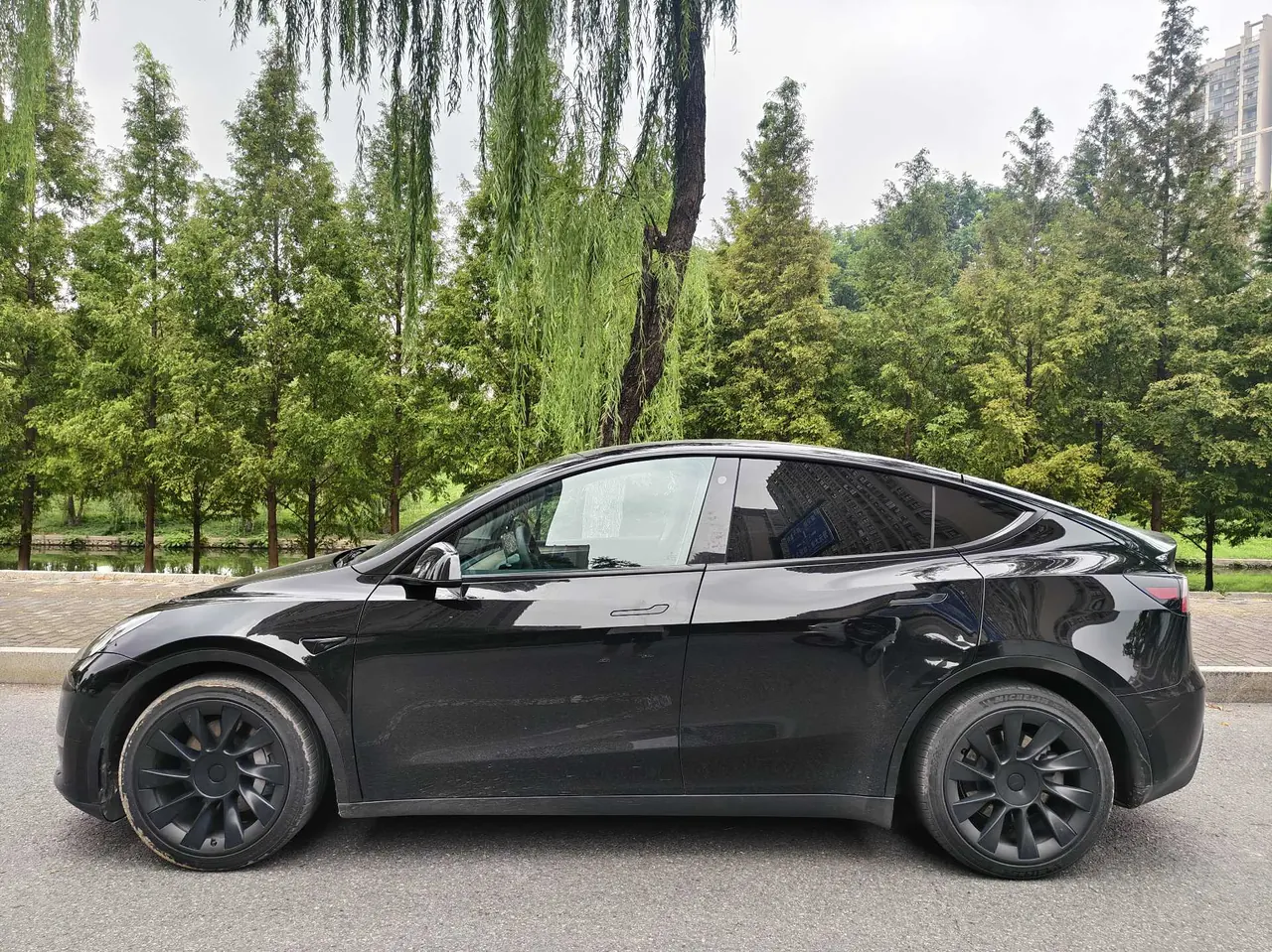 Tesla 2021 Model Y Standard Endurance Rear Drive Automatic Gear 3