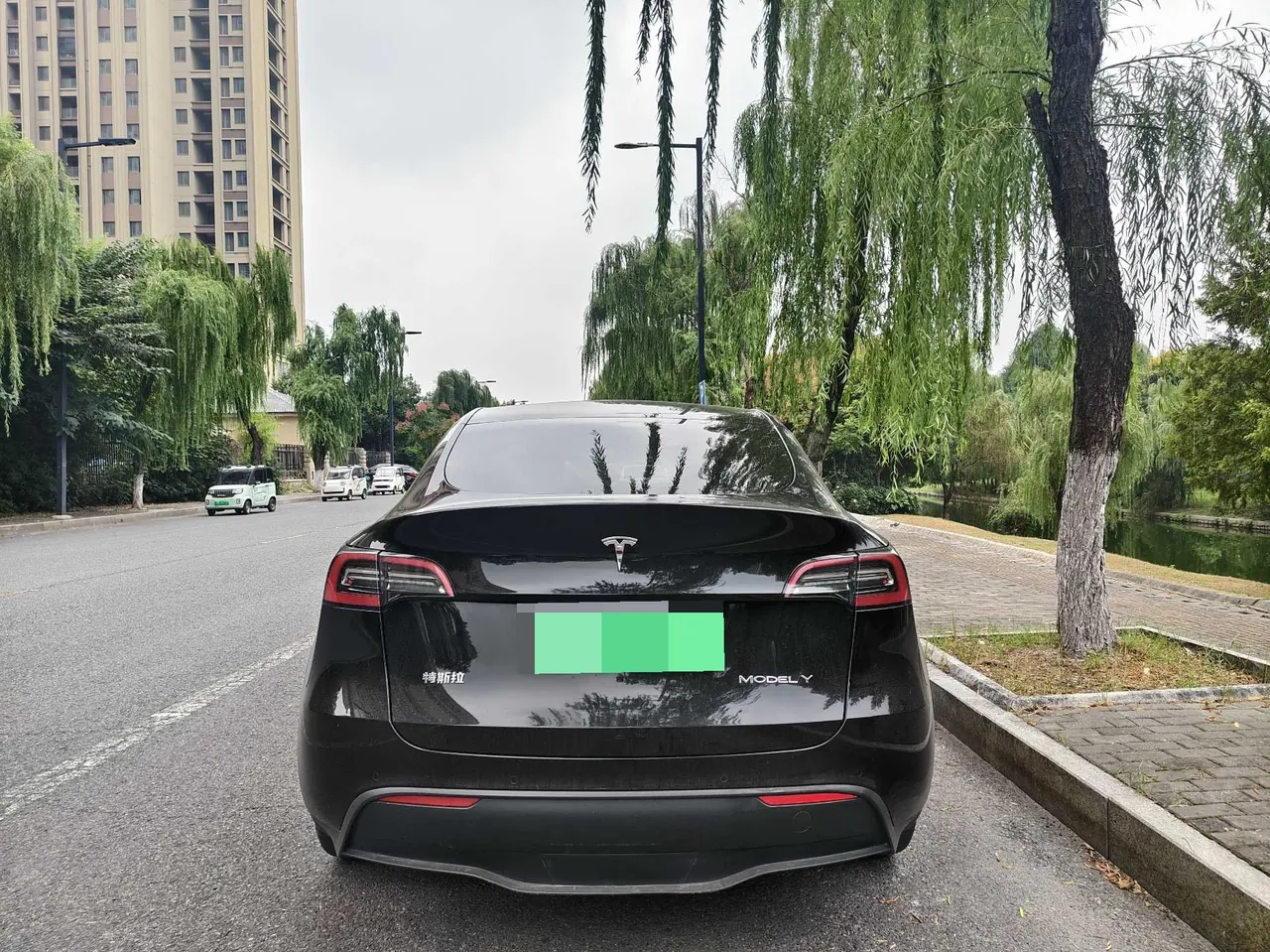 Tesla 2021 Model Y Standard Endurance Rear Drive Automatic Gear 4