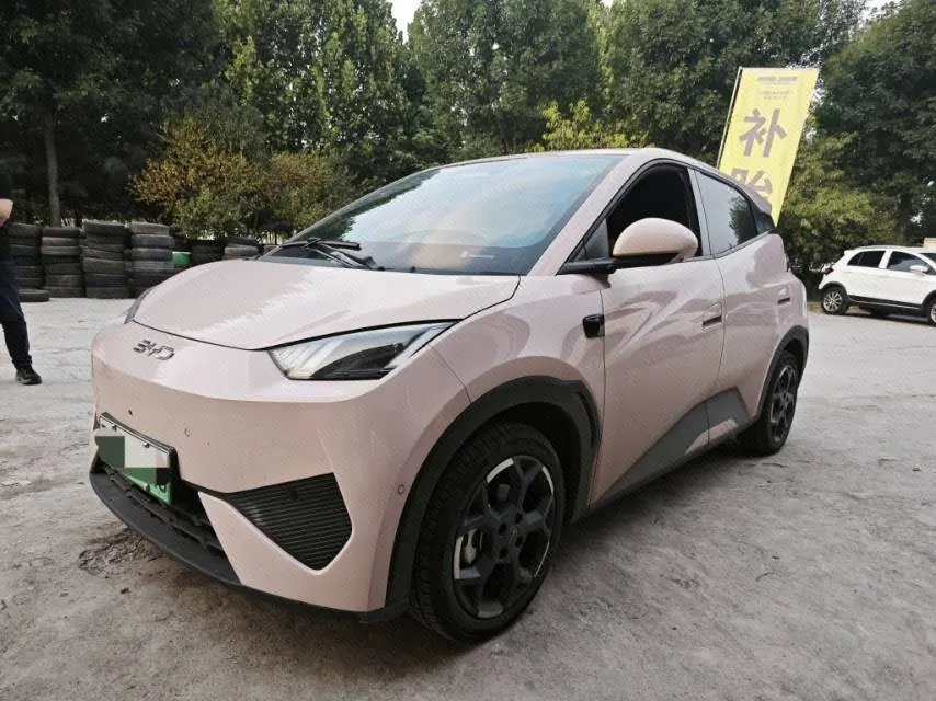 Open image lightbox: BYD 2025 Seagull Smart Driving Edition 305km Free Edition Automatic Gear