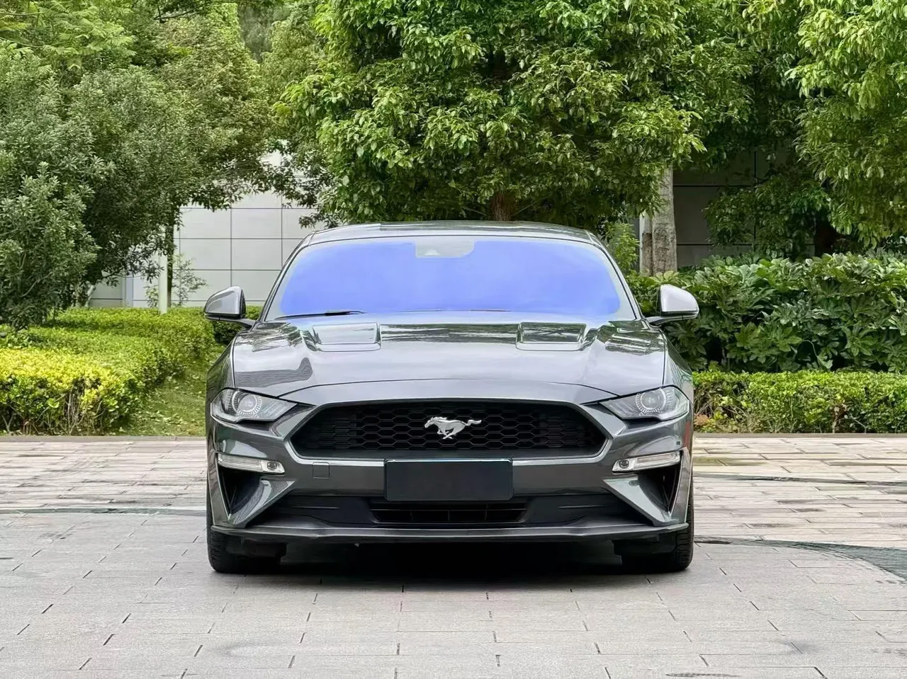 Ford Yema (Imported) 2020 Yema S 2.3T EcoBoost Performance Enhanced Automatic Gear 2