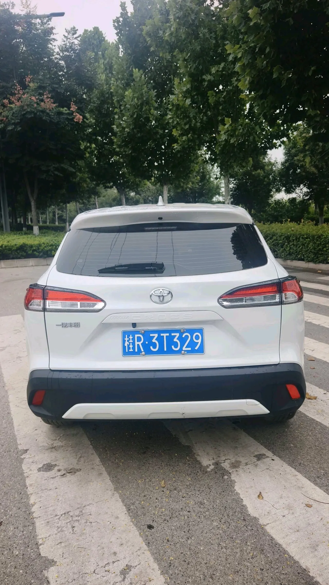 Toyota 2024 Corolla Cross 2.0 CVT Pioneer Edition, Automatic Transmission 5