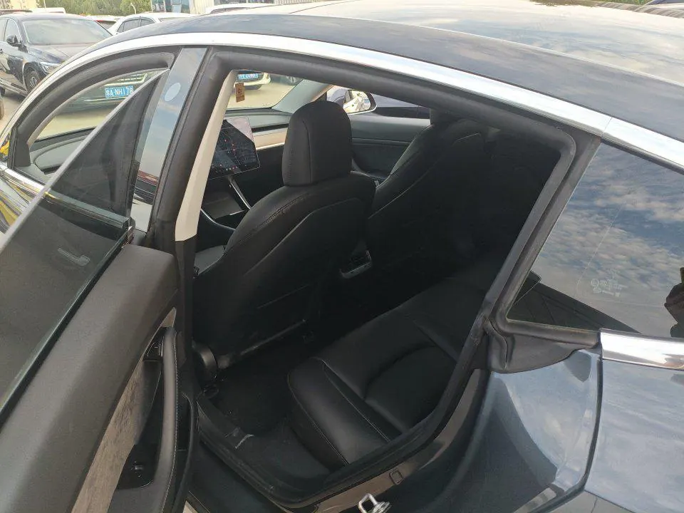 Tesla 2020 Model 3 Standard Endurance Rear Drive Upgraded Automatic Gear 5