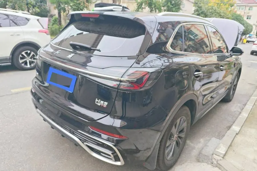 HongQi 2025 HS5 2.0T Two-wheel Drive 600000 Commemorative Automatic Gear 2