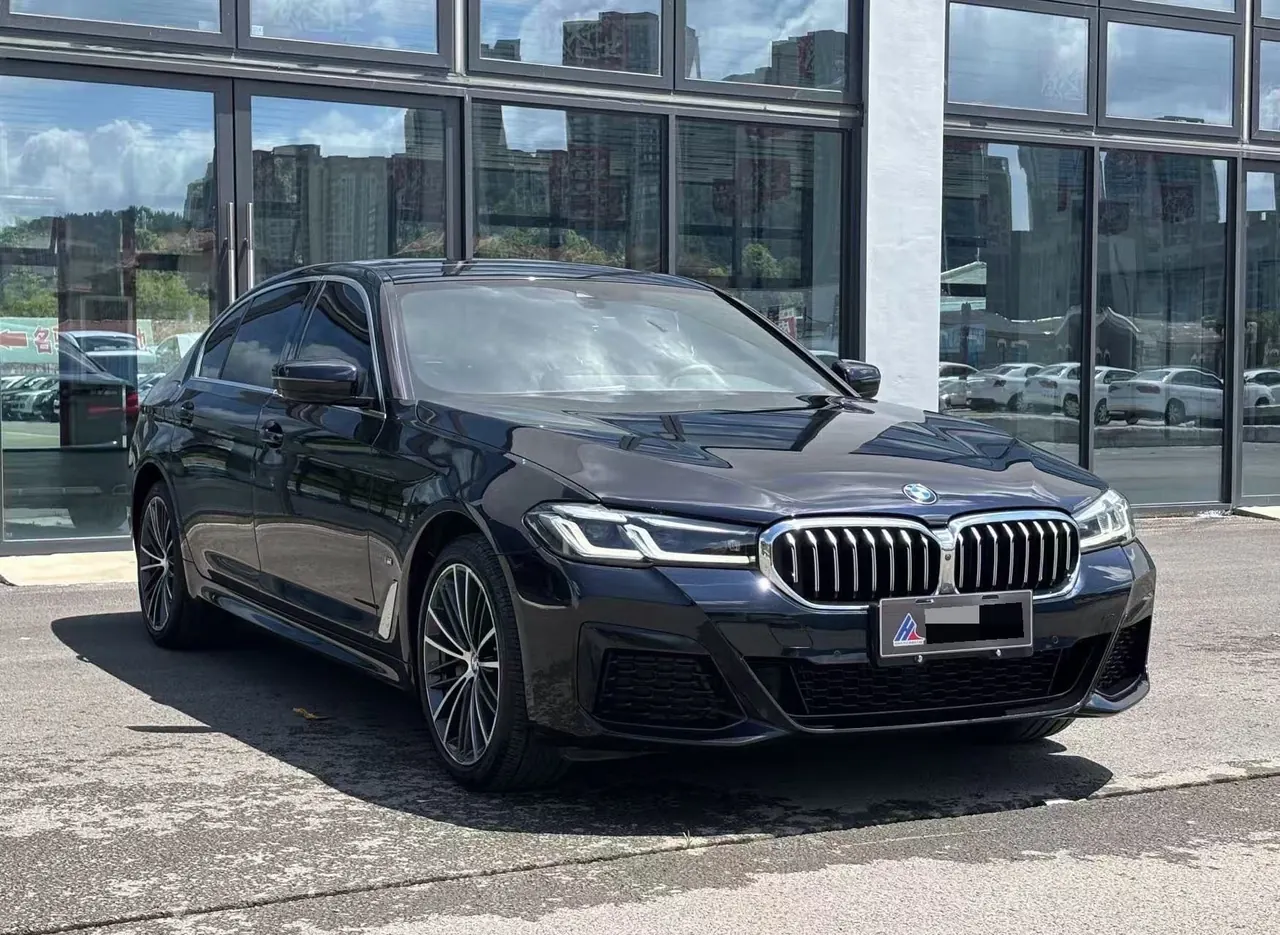 BMW 5 Series 2022 530Li 2.0T Leading M Sports Suit (Modified) Automatic Gear 3