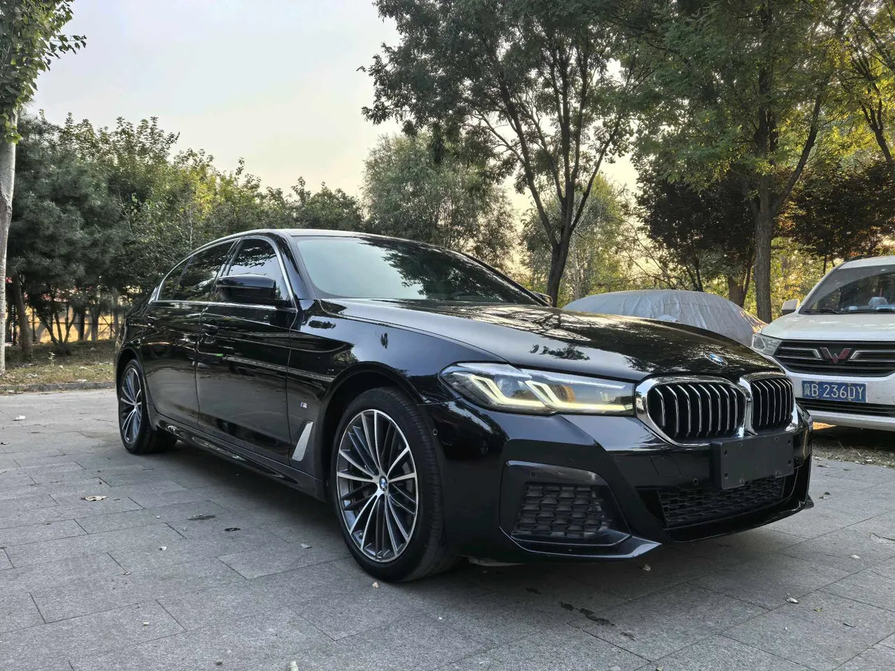BMW 5 Series 2021 530Li 2.0T Leading M Sports Suit Automatic Gear 2