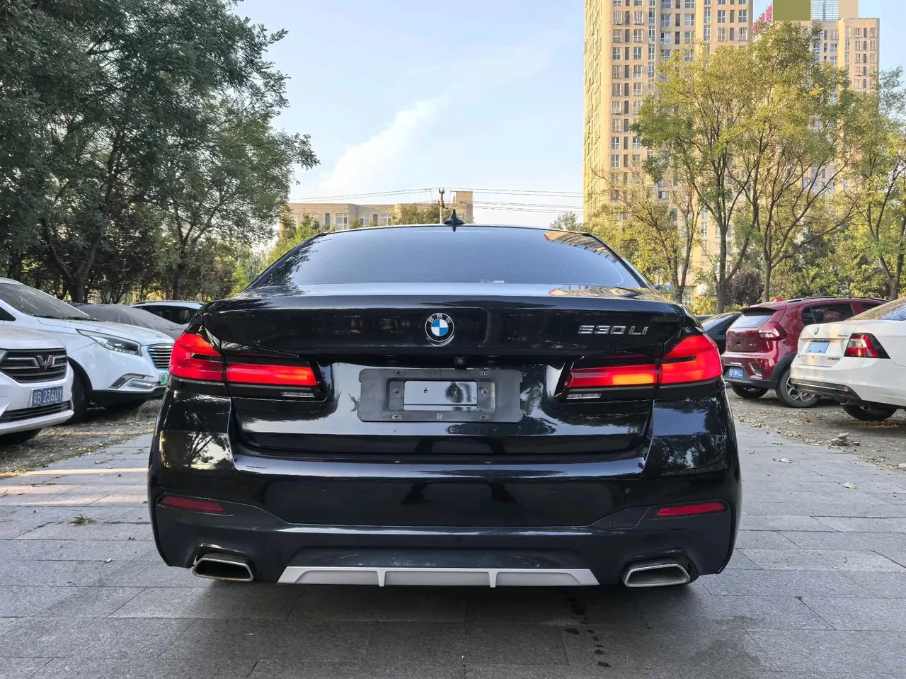 BMW 5 Series 2021 530Li 2.0T Leading M Sports Suit Automatic Gear 5