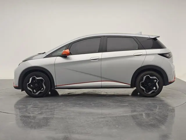 BYD 2021 Dolphins 405km Free Edition Automatic 3