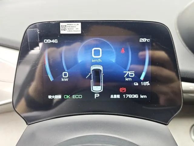 BYD 2021 Dolphins 405km Free Edition Automatic 9