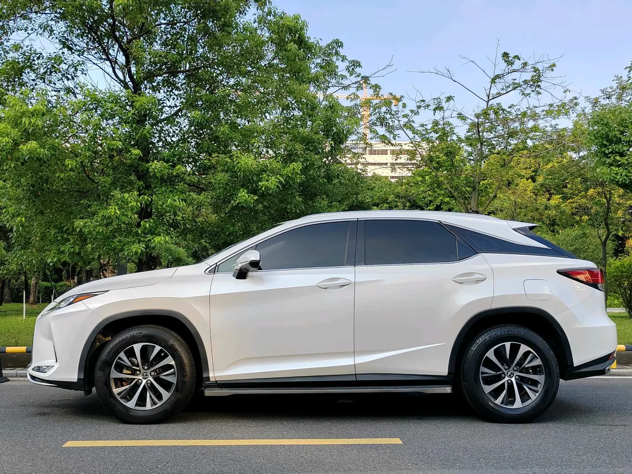 Lexus RX (Imported) 2020 RX300 2.0T Two-Drive Elite Edition (Revised) Automatic Gear 10
