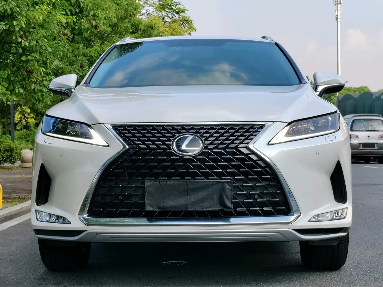 Lexus RX (Imported) 2020 RX300 2.0T Two-Drive Elite Edition (Revised) Automatic Gear 2