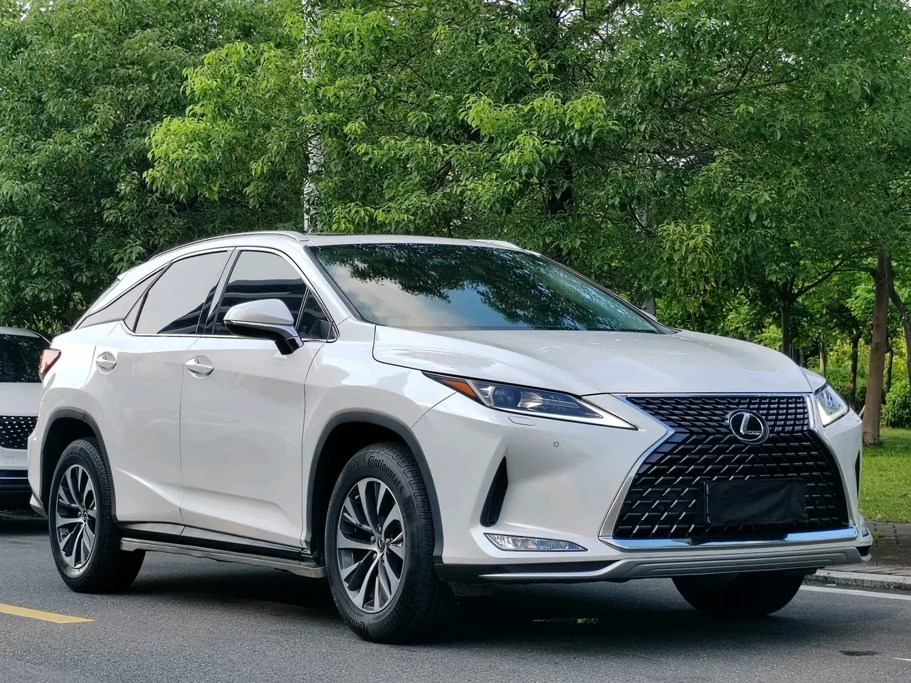 Lexus RX (Imported) 2020 RX300 2.0T Two-Drive Elite Edition (Revised) Automatic Gear 3