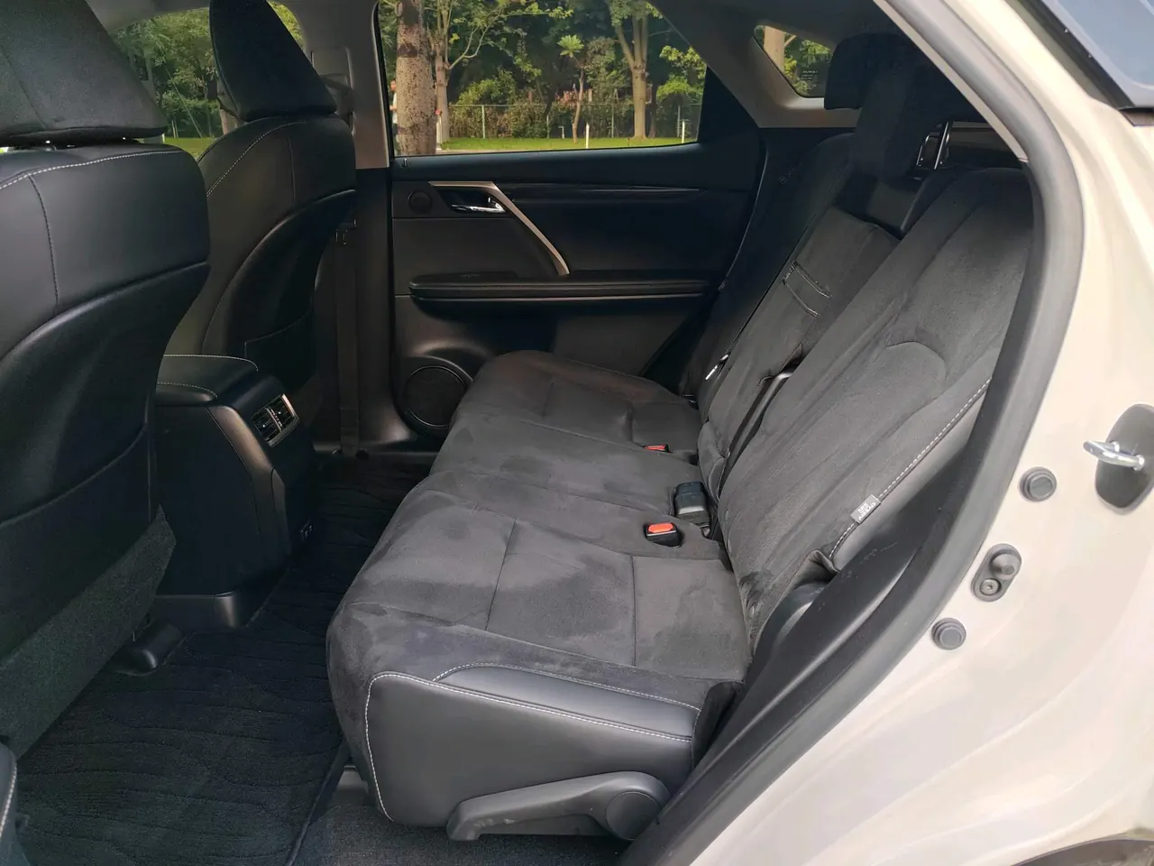 Lexus RX (Imported) 2020 RX300 2.0T Two-Drive Elite Edition (Revised) Automatic Gear 5