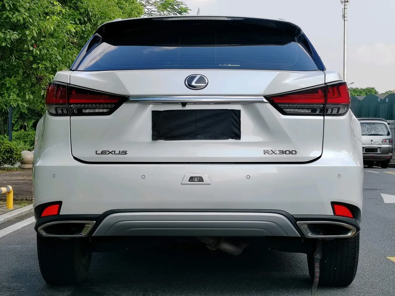Lexus RX (Imported) 2020 RX300 2.0T Two-Drive Elite Edition (Revised) Automatic Gear 8