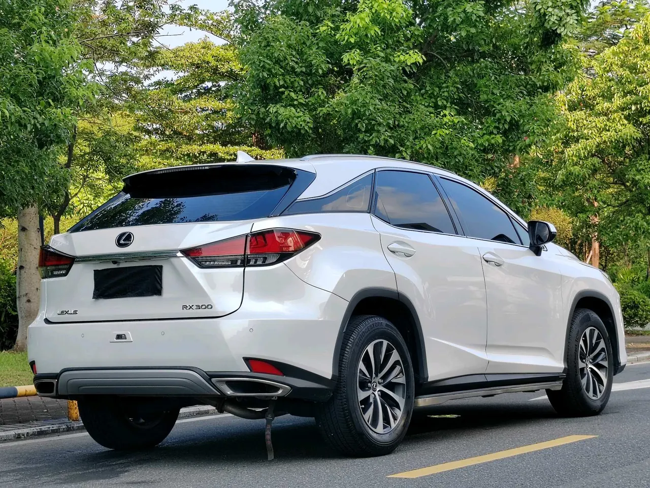 Lexus RX (Imported) 2020 RX300 2.0T Two-Drive Elite Edition (Revised) Automatic Gear 9