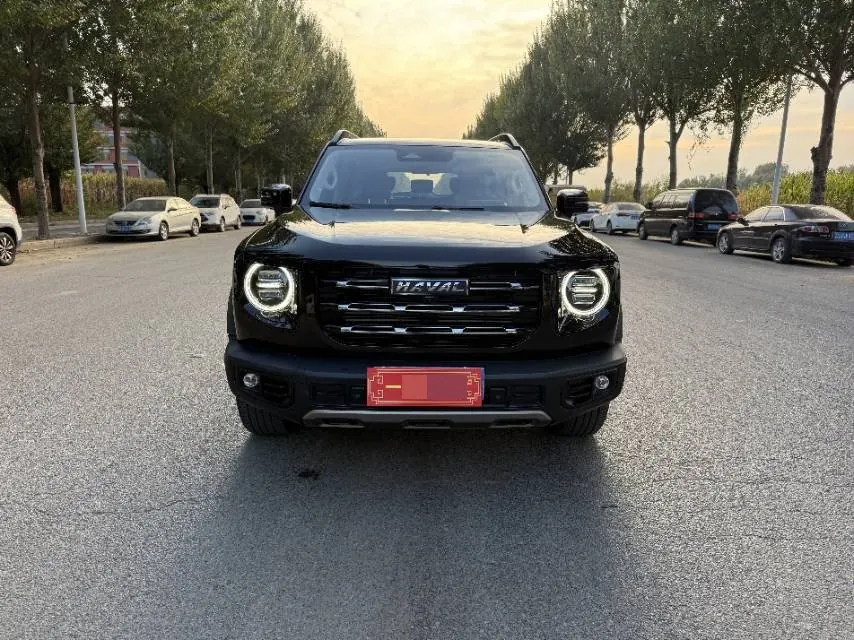 Haval 2021 Big Dogs 1.5T Border Animal Husbandry Wangcai Edition Automatic Gear 2