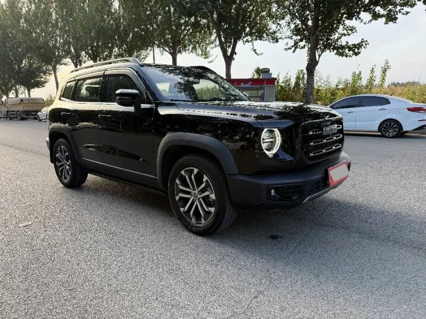 Haval 2021 Big Dogs 1.5T Border Animal Husbandry Wangcai Edition Automatic Gear 3