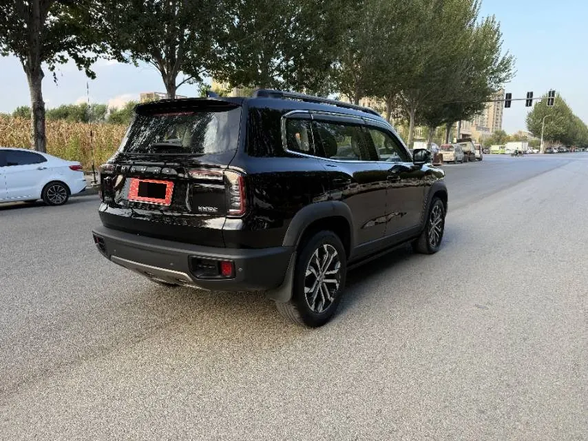 Haval 2021 Big Dogs 1.5T Border Animal Husbandry Wangcai Edition Automatic Gear 7