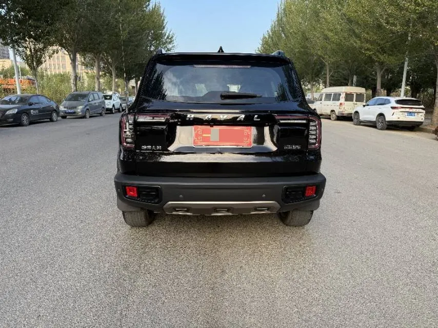 Haval 2021 Big Dogs 1.5T Border Animal Husbandry Wangcai Edition Automatic Gear 8