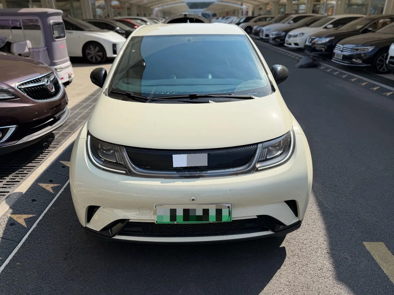 BYD 2024 Dolphin Glory 420km Free Automatic 2
