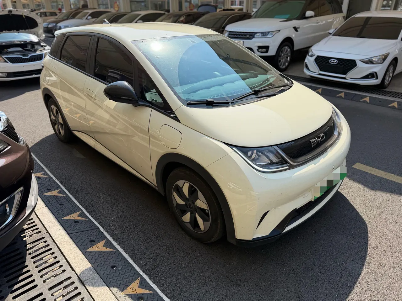 BYD 2024 Dolphin Glory 420km Free Automatic 3