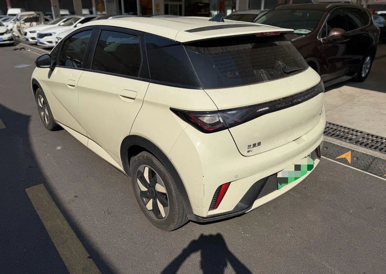 BYD 2024 Dolphin Glory 420km Free Automatic 8