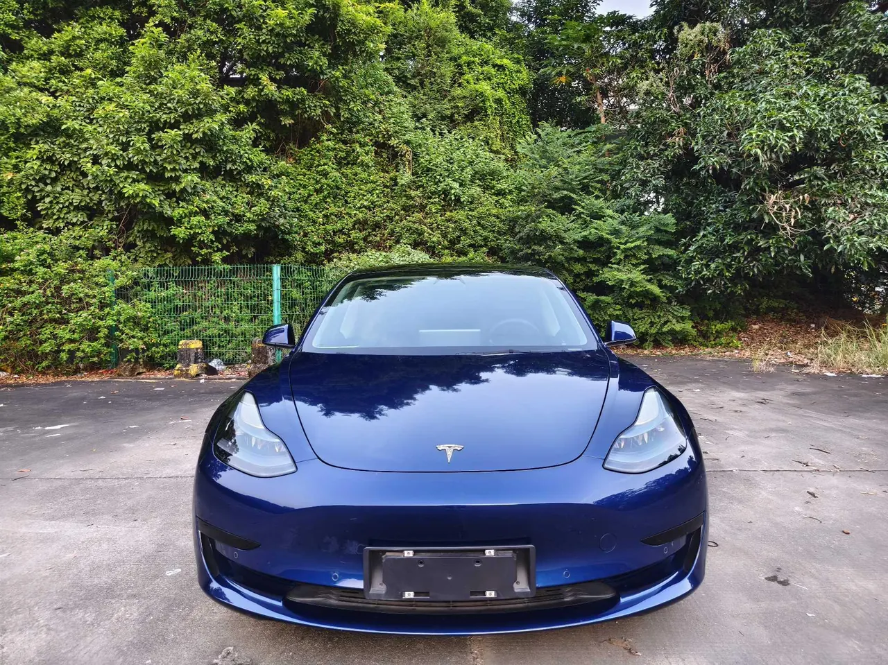 Tesla 2021 Model 3 Standard Endurance Rear Drive Upgraded Automatic Gear 11