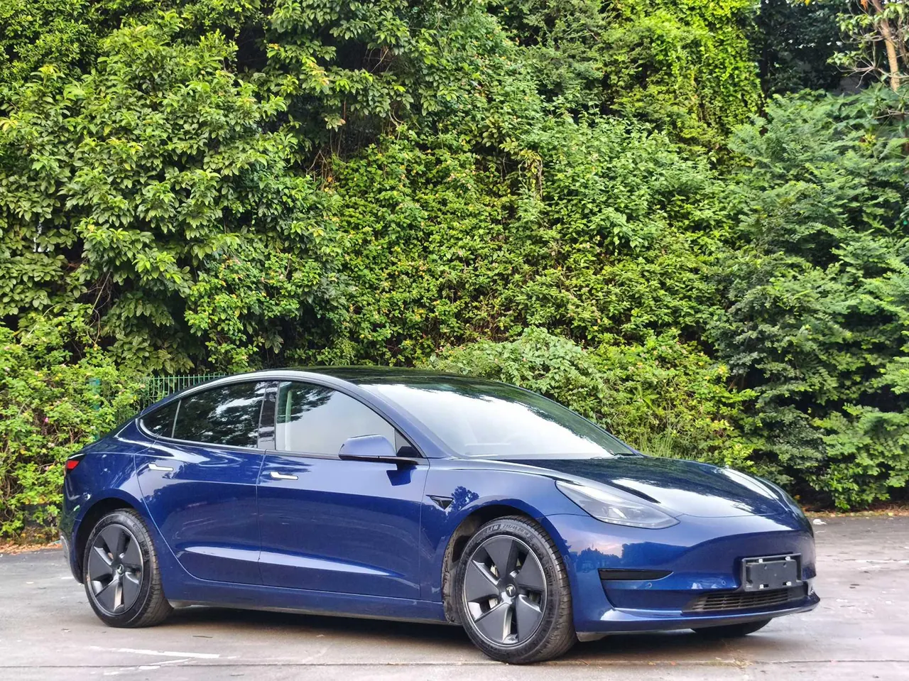 Tesla 2021 Model 3 Standard Endurance Rear Drive Upgraded Automatic Gear 2