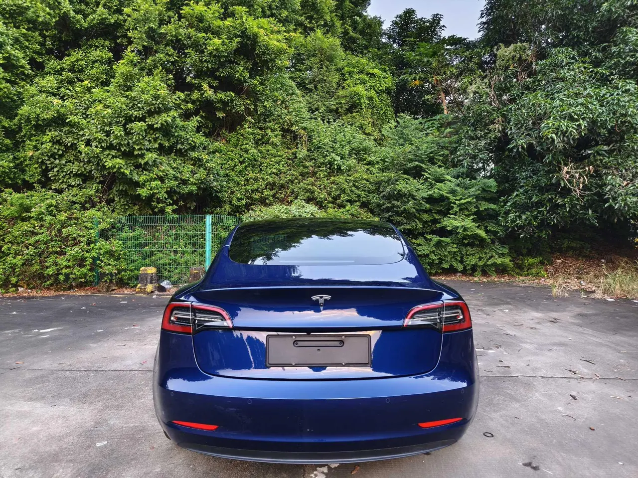 Tesla 2021 Model 3 Standard Endurance Rear Drive Upgraded Automatic Gear 6