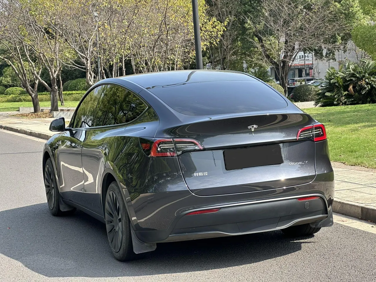 Tesla 2024 Model Y rear-wheel drive version automatic transmission 3