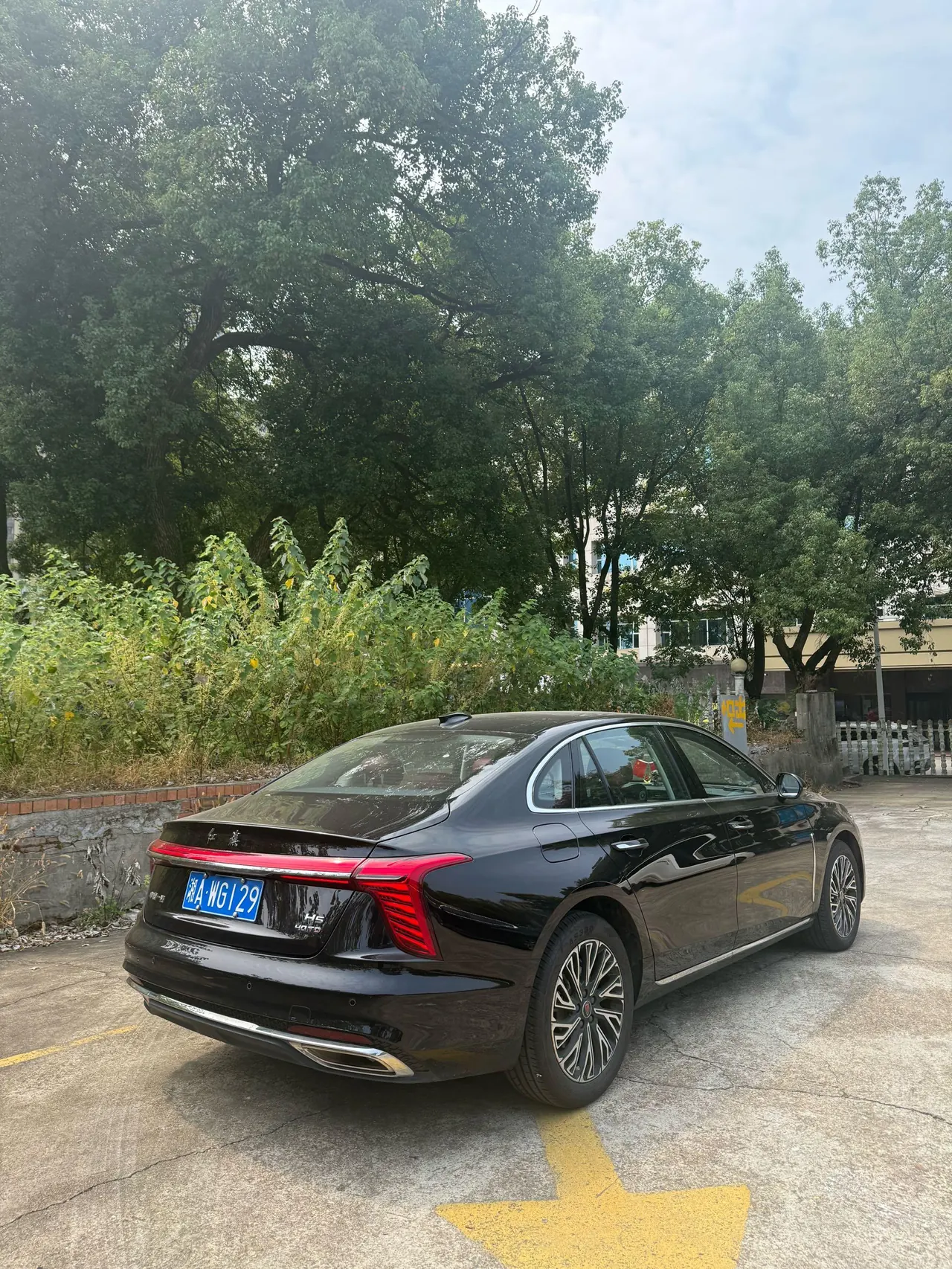 HongQi 2025 H5 2.0T Flag Chang 500000 Commemorative Automatic Gear 5