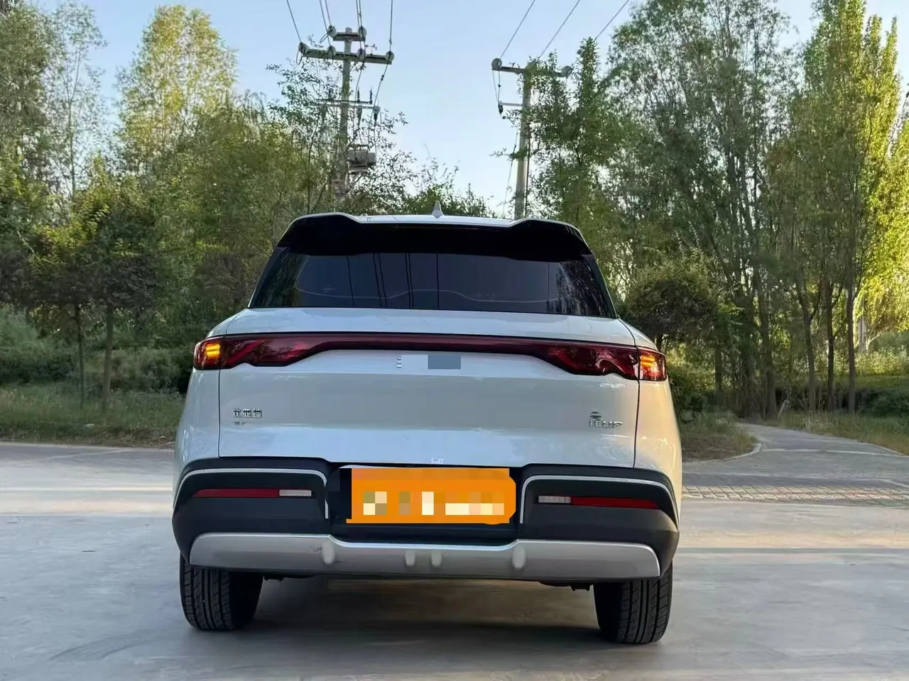 BYD 2024 Yuan UP 401KM Vital Edition Automatic Gear 5